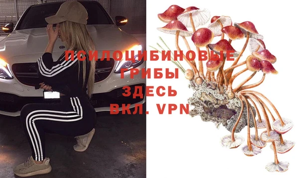 PSILOCYBIN Абдулино