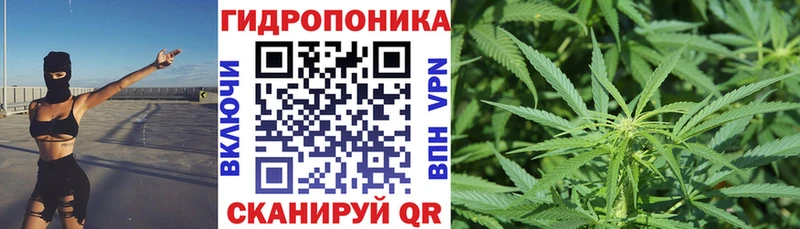 закладки  Вытегра  Каннабис Amnesia 